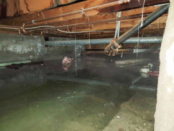 Best Water damage restoration near me  in Edgard, LA