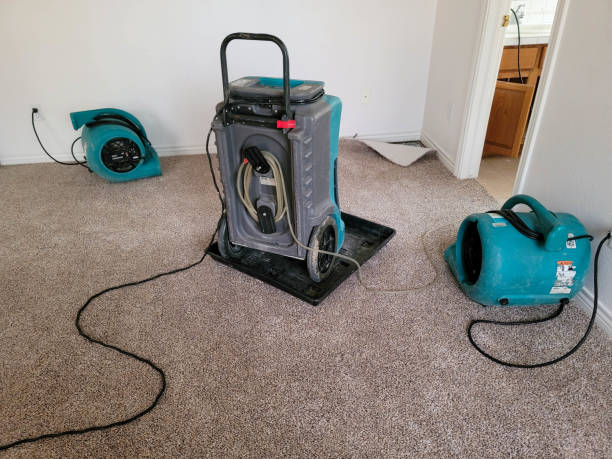 Best Professional water damage repair  in Edgard, LA