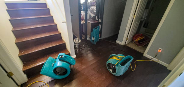 Best Residential water damage restoration  in Edgard, LA
