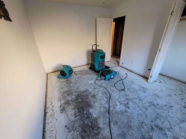 Carpet water damage restoration in Edgard, LA