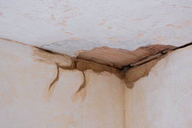 Best Water damage restoration near me  in Edgard, LA