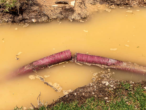 Sewage cleanup and water damage restoration in Edgard, LA